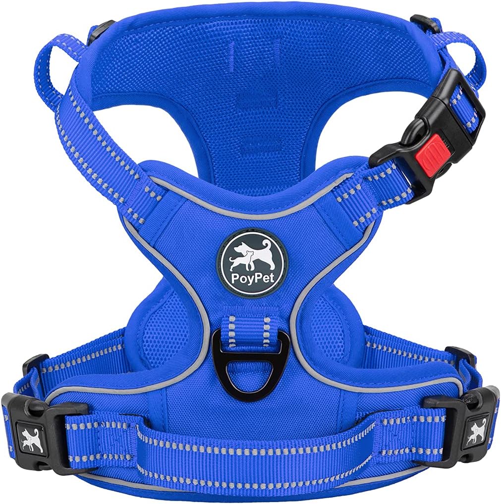PoyPet pink harness secured on a medium sized dog