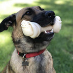Authentic Pet Factory dog bone illustrating durable textured surface.