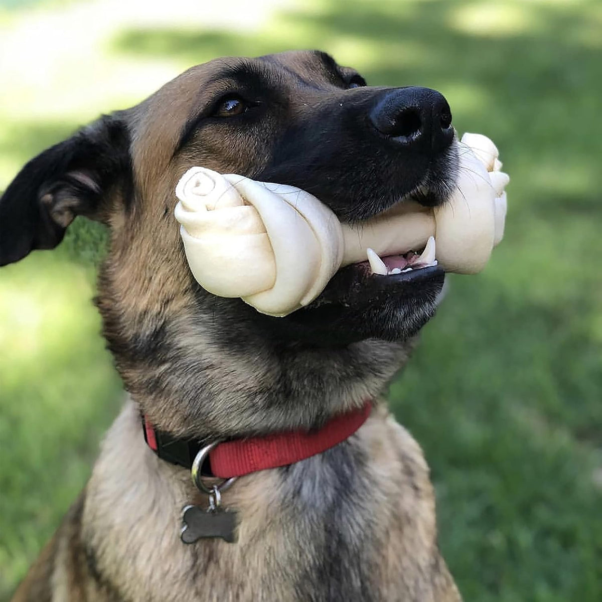 Authentic Pet Factory dog bone illustrating durable textured surface.