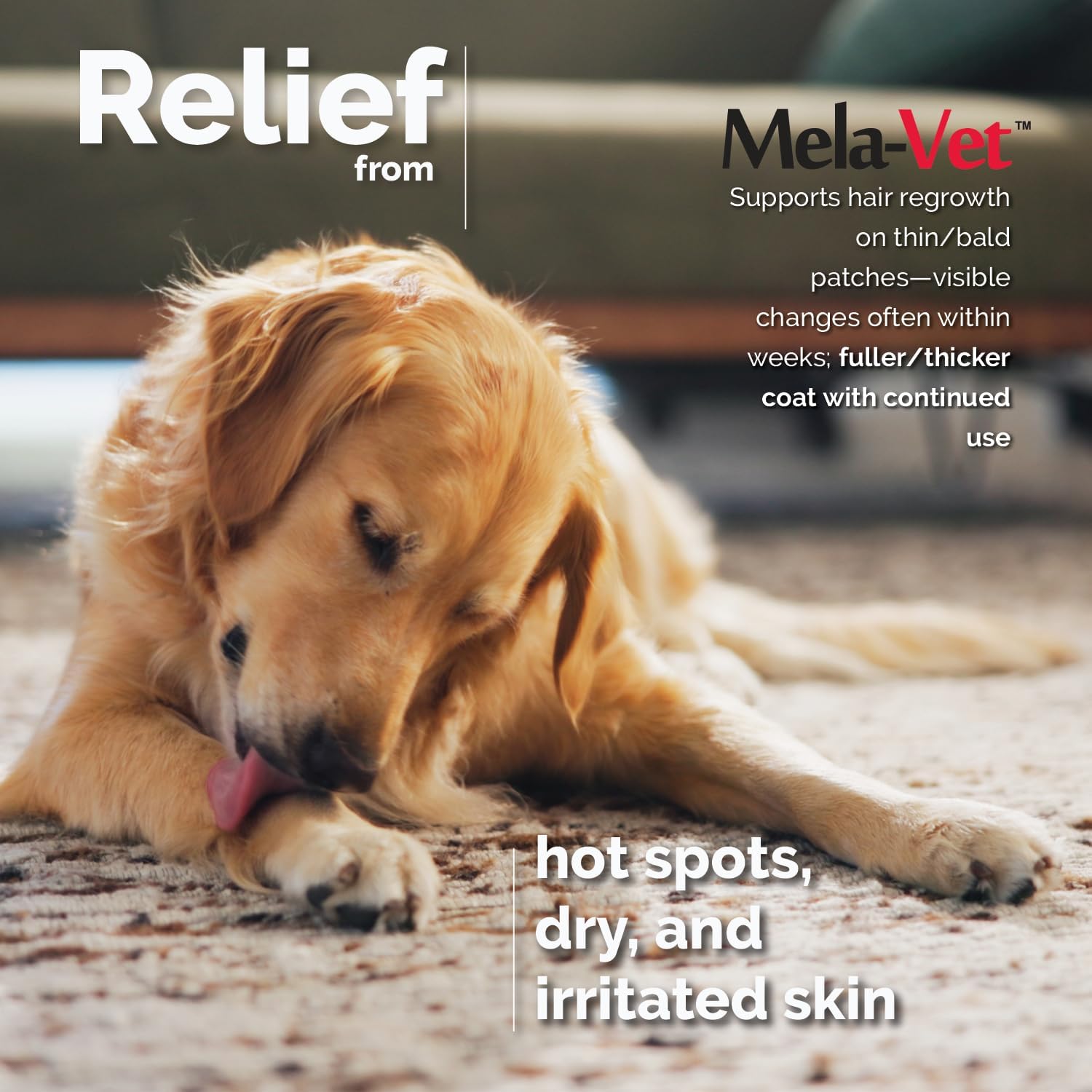 Melatonin Calming Soft Chews for Dogs, Vet-Formulated to Provide Relaxation & Anxiety Relief, Helps Reduce Stress & Tension-Supports Healthier Skin & Coat.120 Tasty Soft Chews. - Image 9