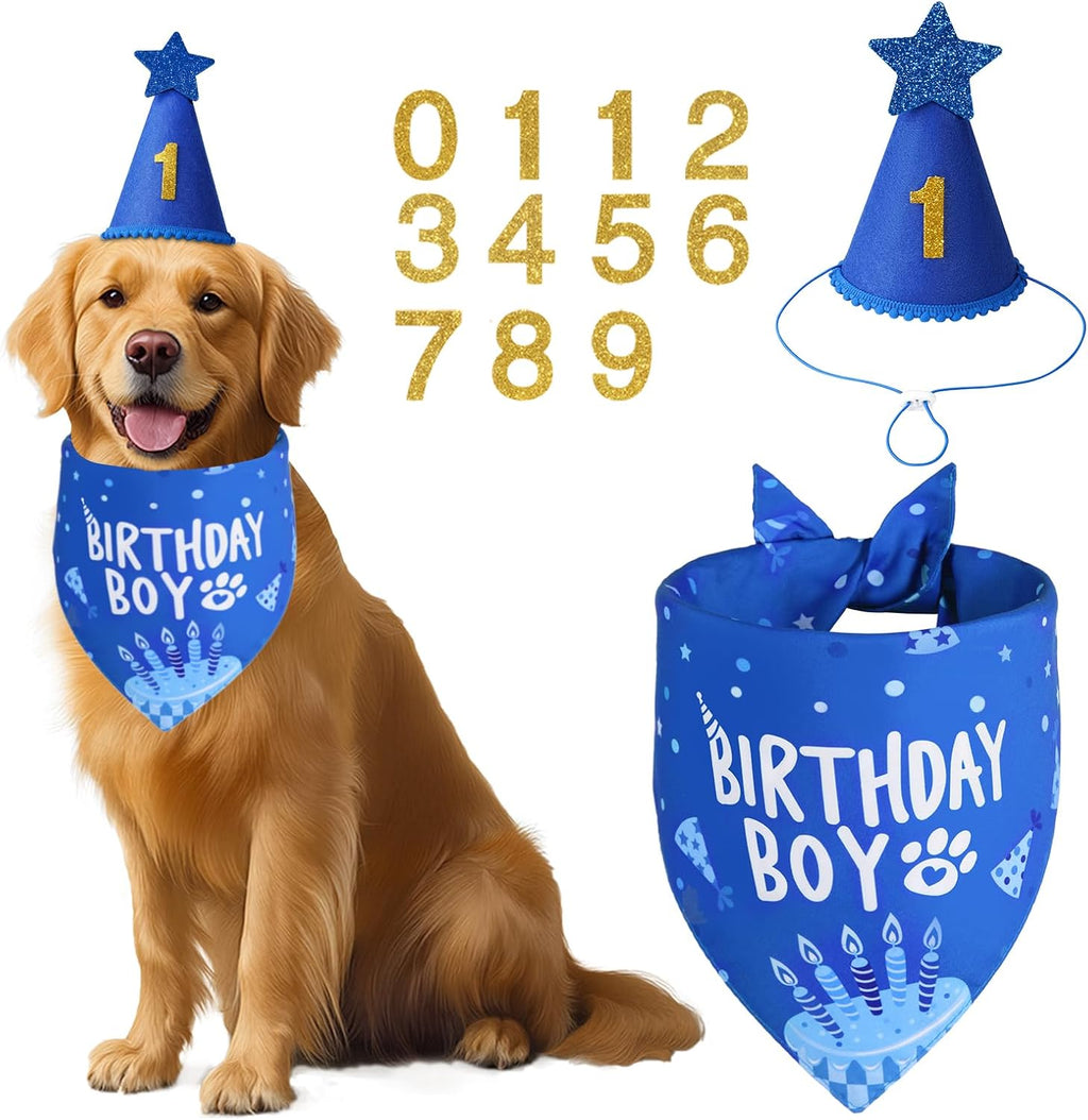 Agroon dog birthday party supplies blue set front view showing the boy pet bandana and hat