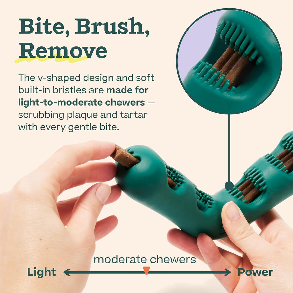 Woof Bite N' Brush toy for small dogs on a clean surface
