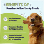 Large 10 inch beef jerky strips for dogs