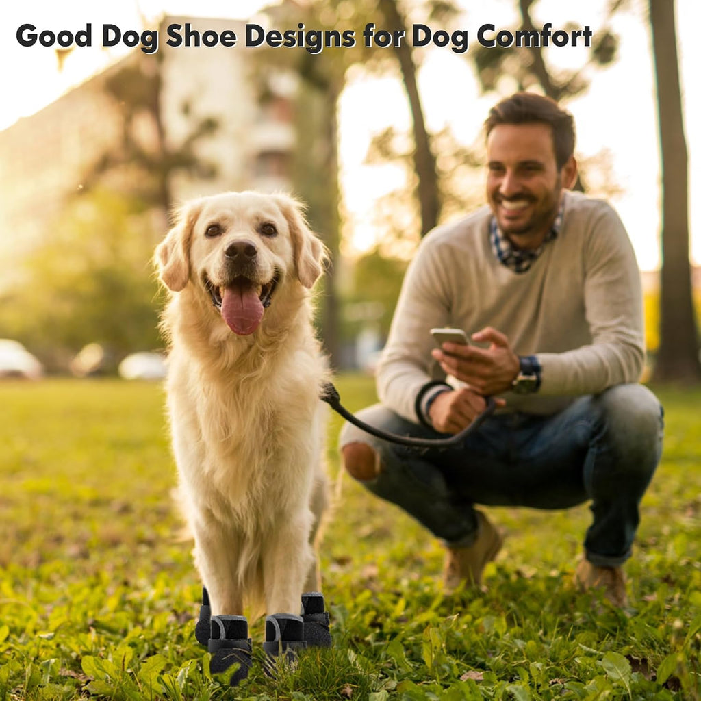 Dog wearing Dogoys waterproof boots on outdoor terrain