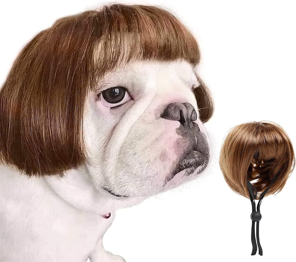 HOWWFALY pet wig front view curly braids dog costume