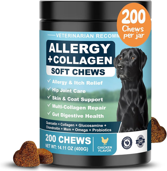 YYTKMY Dog Allergy Chews front jar view showing 200 soft bites for itching skin relief.