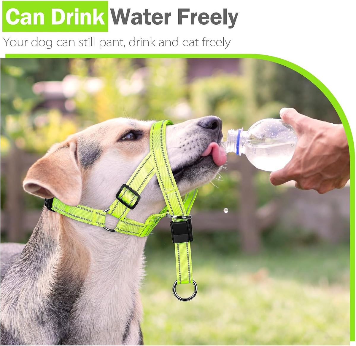 Imported USA premium pet accessory for correcting pulling behavior
