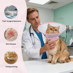 Side angle view of the clear pink feline recovery collar