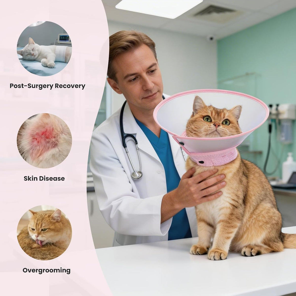 Side angle view of the clear pink feline recovery collar