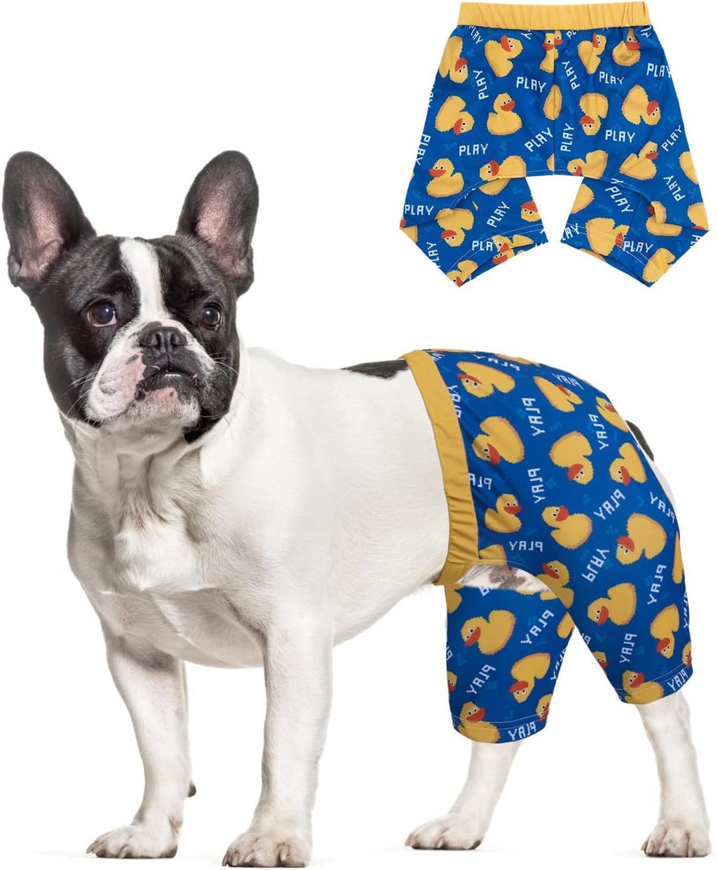 CuteBone authentic pet swimsuit packaging display