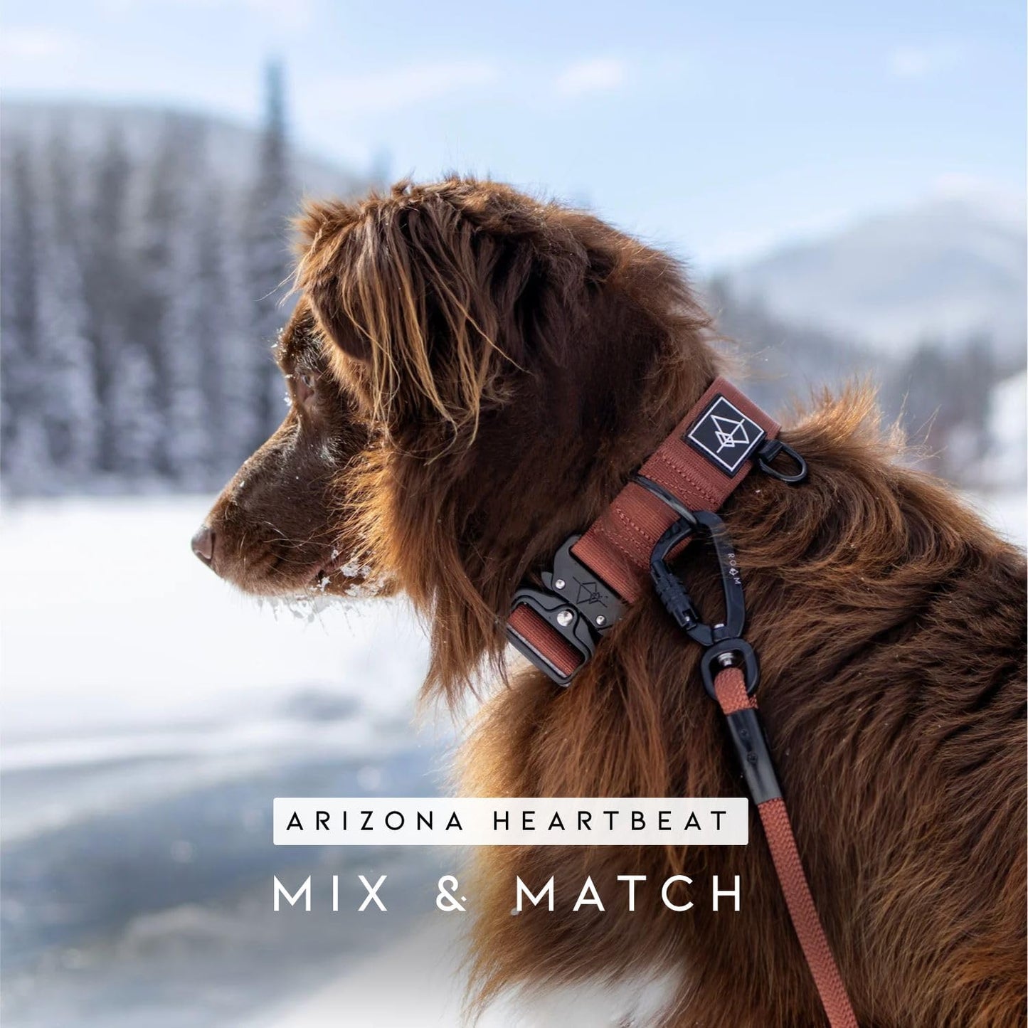 Full length view of 6 feet long rugged outdoor explorer dog leash