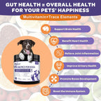 NATURE TARGET shelf stable gut health supplement dosage instructions