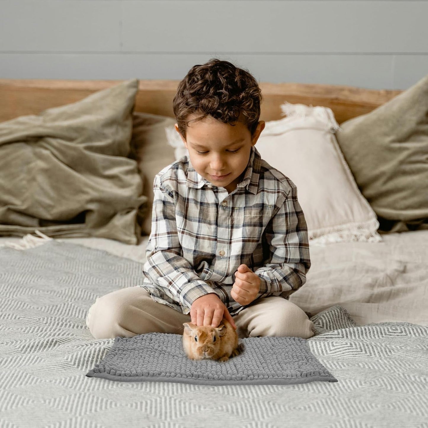 Guinea pig standing on soft Barydat fleece cage mat