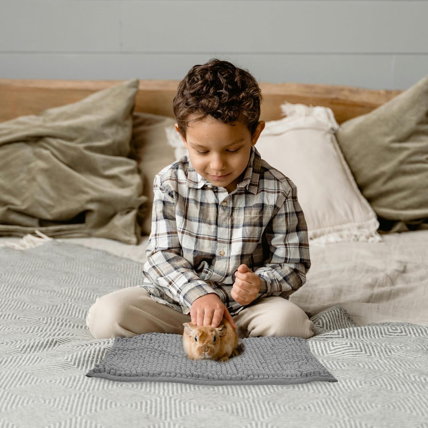 Guinea pig standing on soft Barydat fleece cage mat
