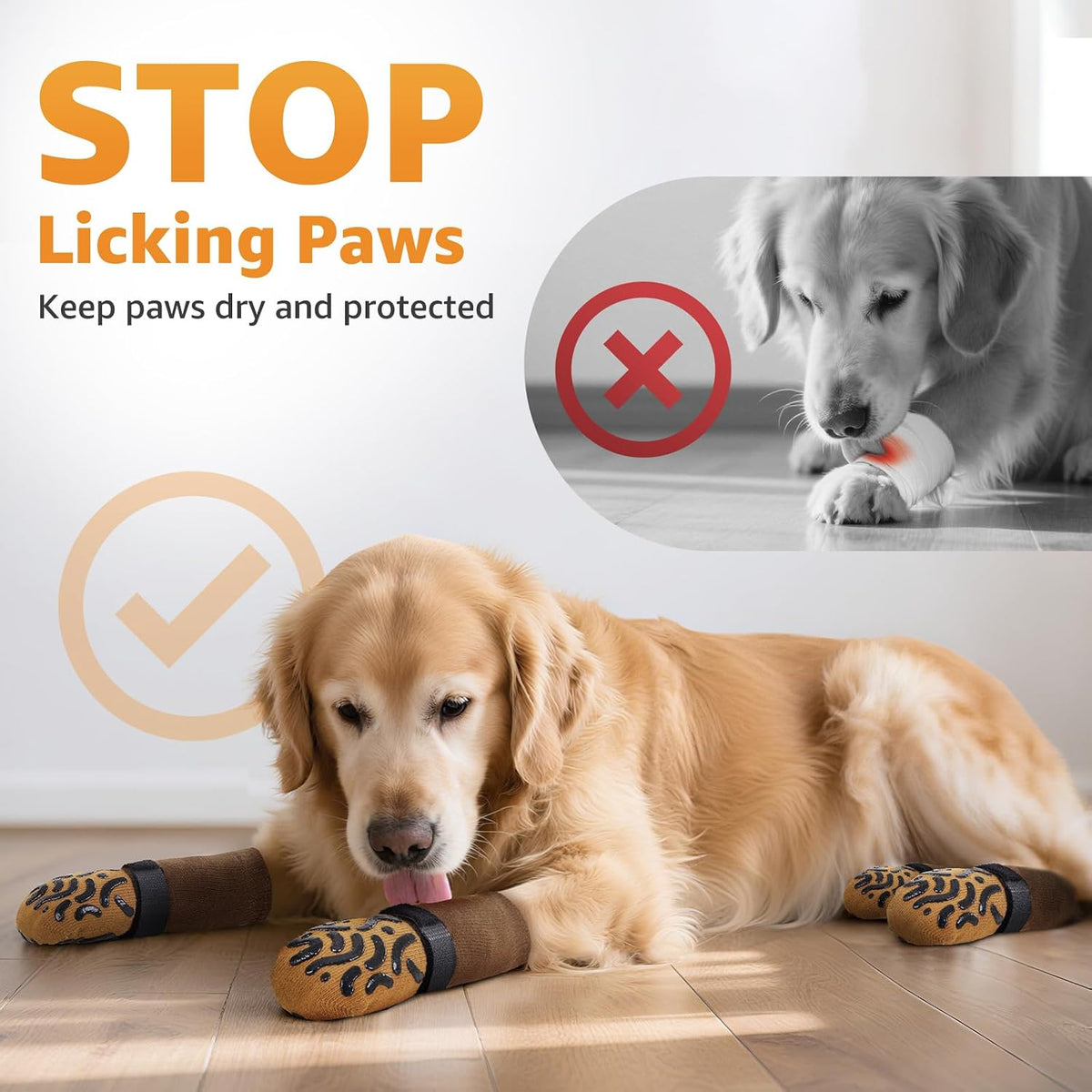 Senior dog wearing Roilpet non-slip socks on hardwood floor