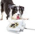 Kefiy dog water fountain step on outdoor sprinkler front view