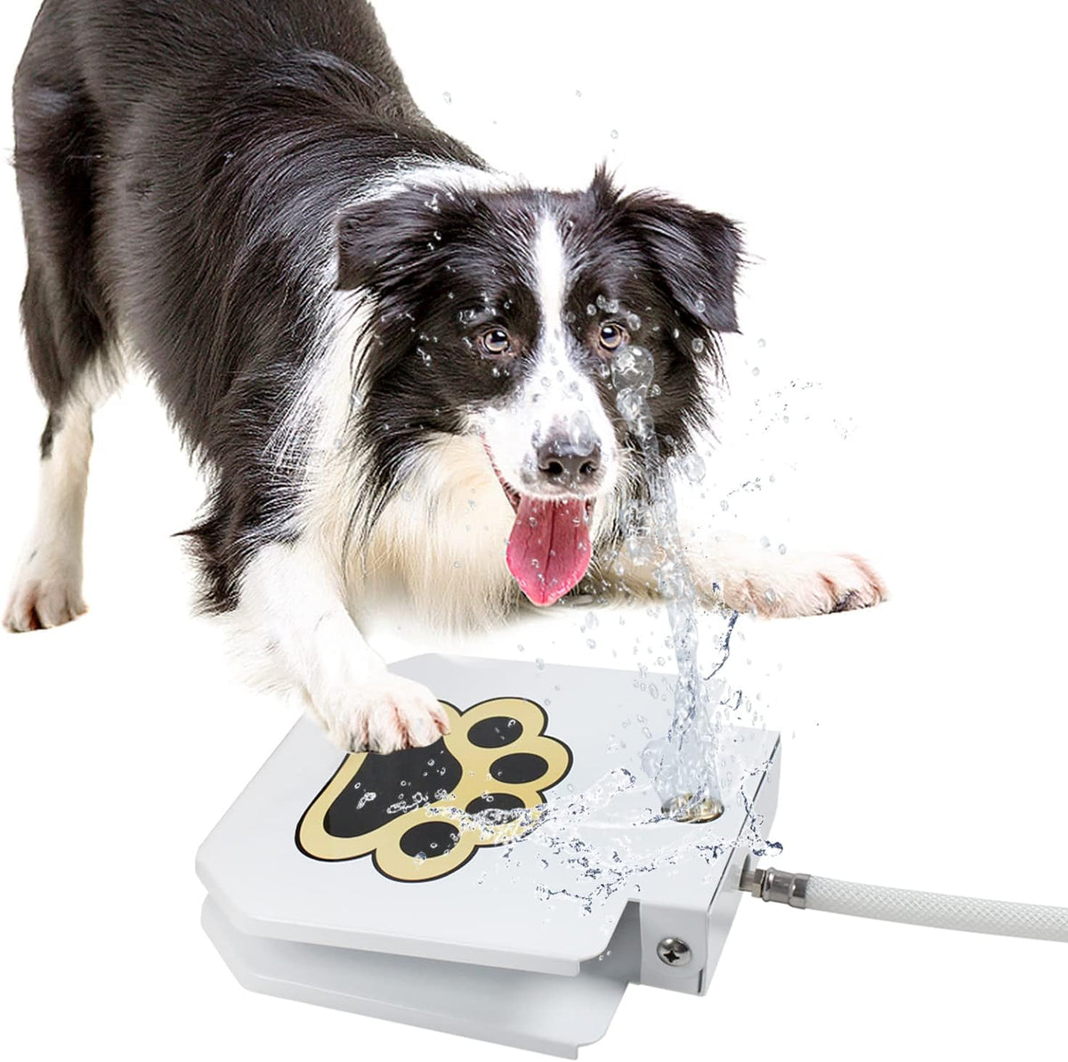 Kefiy dog water fountain step on outdoor sprinkler front view
