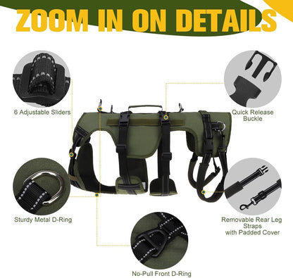 Reflective safety details on Bingpet mobility vest