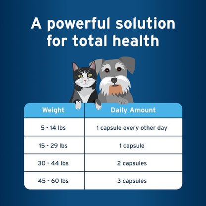 Pet Protect Cat and Small Dog Omega-3 sixty count bottle on plain background