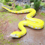 SIENON fake python toy flexible body structure being held to show scalability.