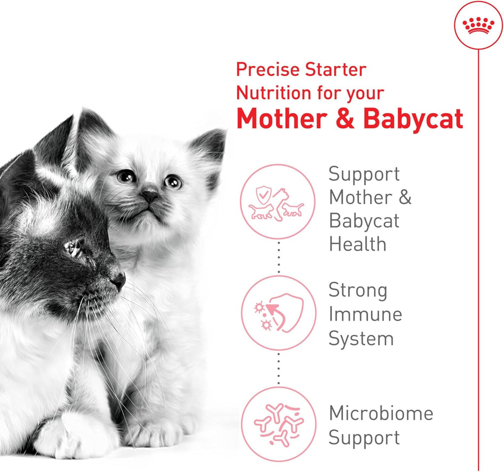 Close up of the imported Royal Canin first stage kitten food packaging for immunity support.
