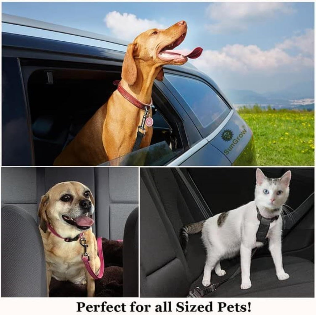 SunGrow durable pet car seat belt close up