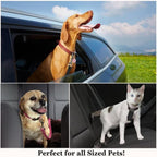 SunGrow durable pet car seat belt close up