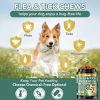 YOTANGO dog flea and tick treatment chewable container displaying natural herbal ingredients.