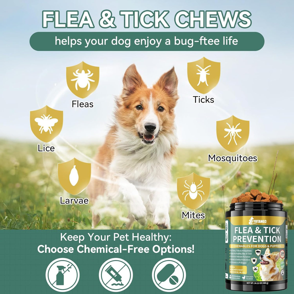 YOTANGO dog flea and tick treatment chewable container displaying natural herbal ingredients.