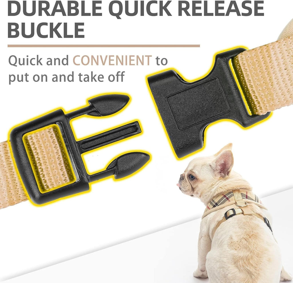 Detailed view of metal D-ring on Pupteck puppy harness