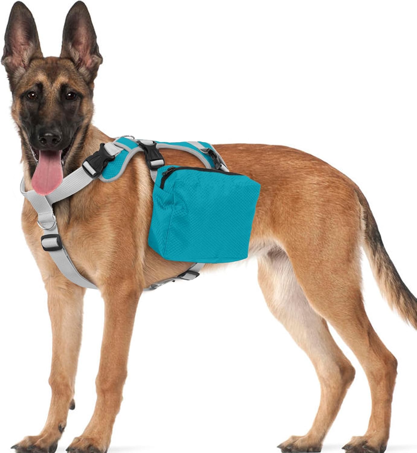 OUOBOB tactical dog backpack harness in medium blue viewed from the front on a dog model