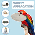 Cuttlefish bone supplement placed inside a wire birdcage
