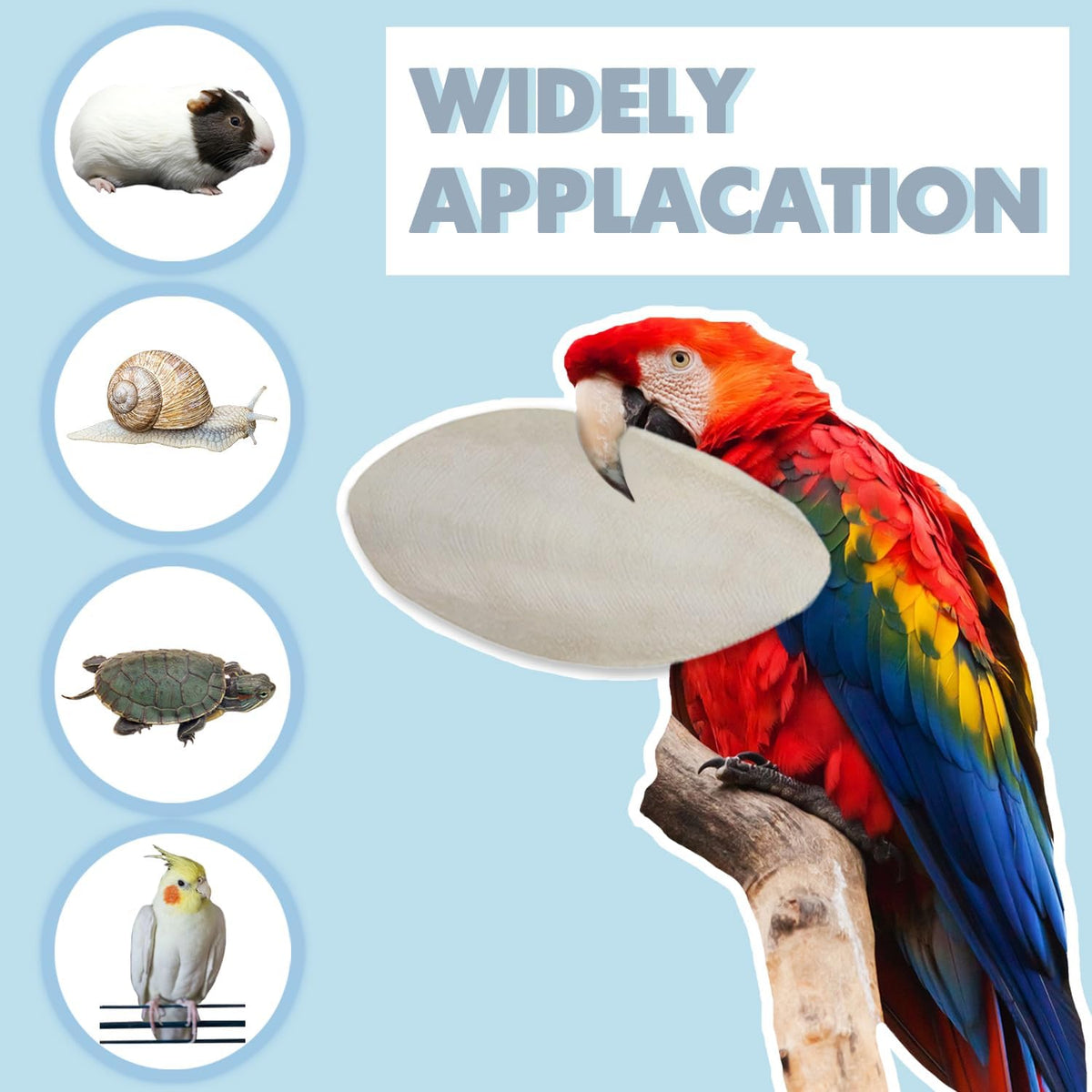 Cuttlefish bone supplement placed inside a wire birdcage