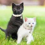 Premium white hemp cat collar by DOGWONG highlighting the lightweight breathable weave for sensitive skin.