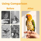 6 PCS Bird Diapers Reusable Parrot Diaper with Waterproof Inner - Image 6