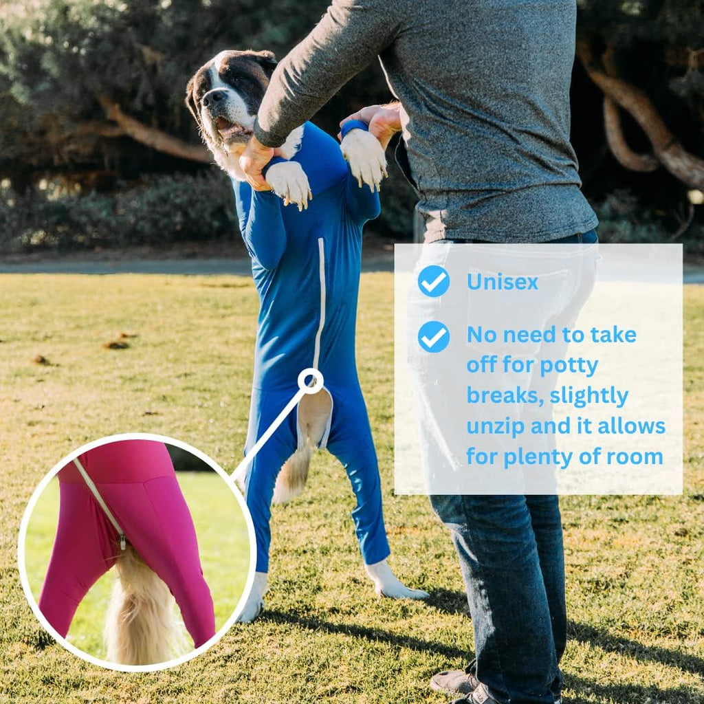 Shed Defender anti shedding dog suit used as a post surgery recovery garment.