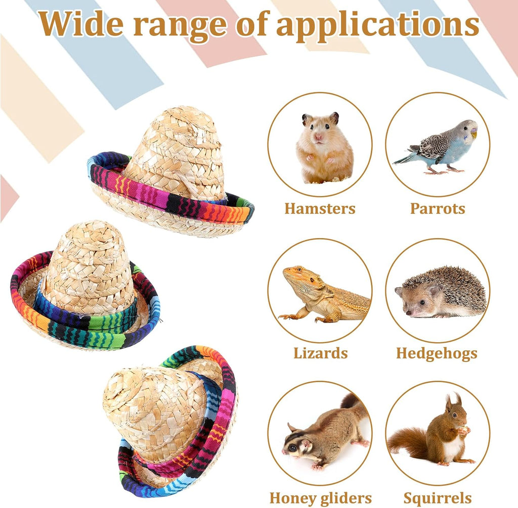 Gtziqa small pet costume accessory angled from the side