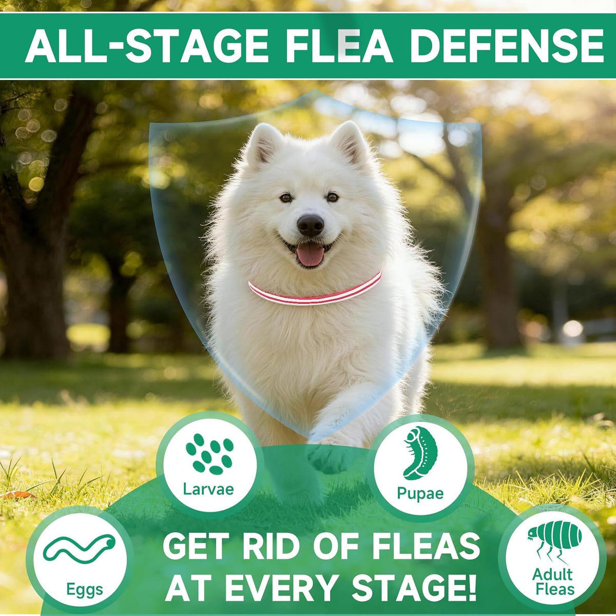 Yotango 32 month flea and tick protection set