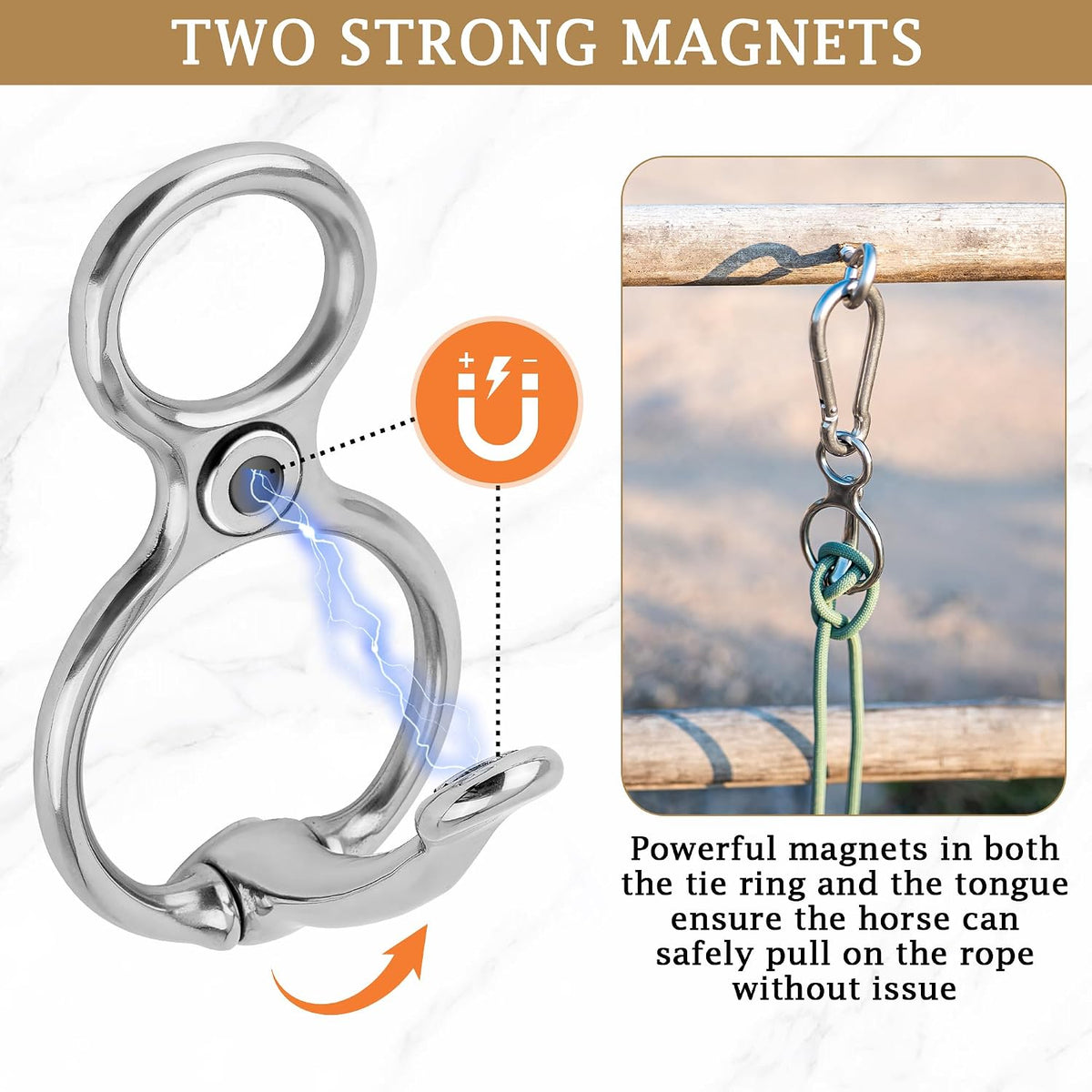 Equestrian horse training equipment displaying the strong magnetic components and attached eye bolts.