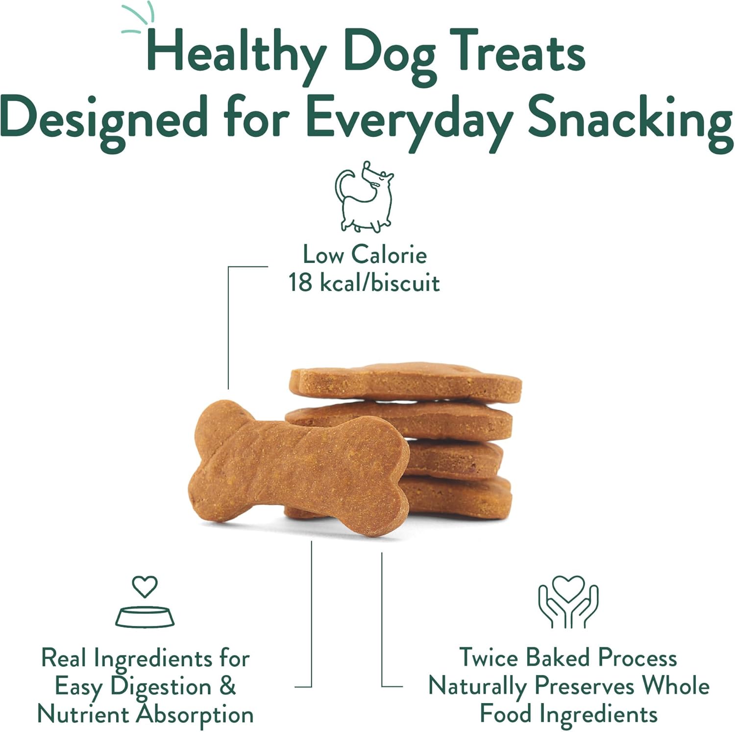 Premium imported American pumpkin dog biscuits suitable for sensitive stomachs.