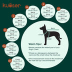 Dog wearing blue Kuoser recovery onesie side profile