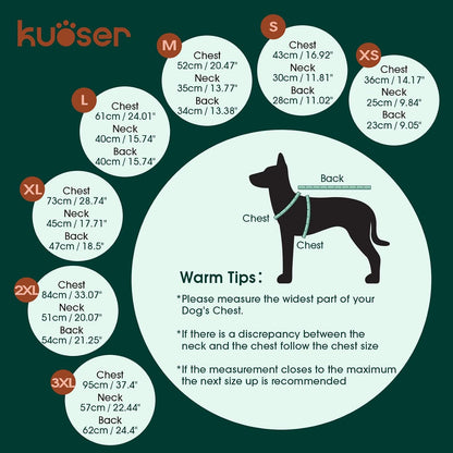 Dog wearing blue Kuoser recovery onesie side profile