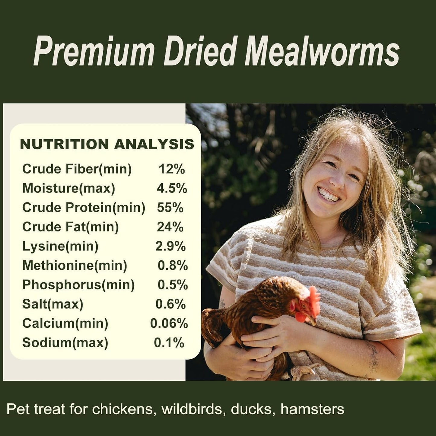 Adaman bulk dried mealworms for backyard poultry