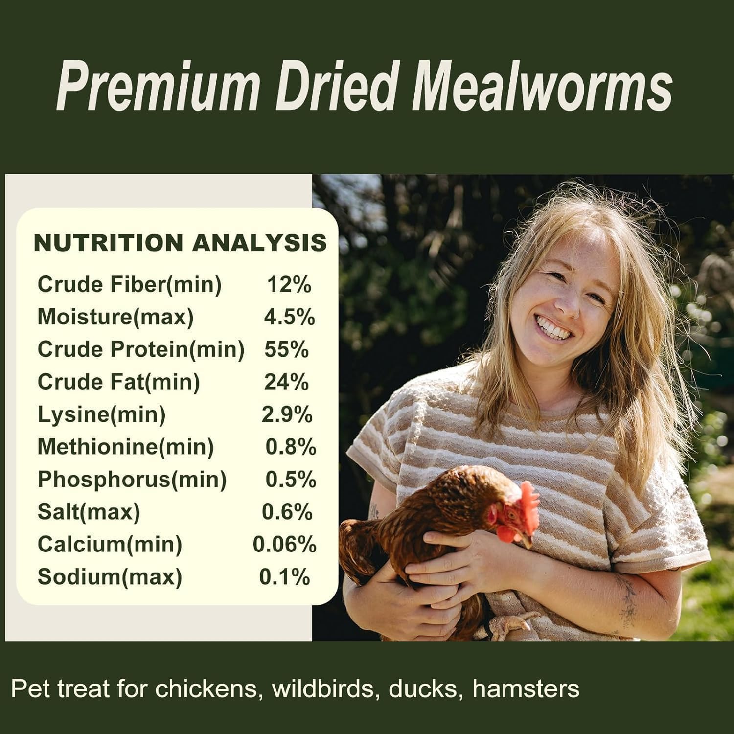 Adaman bulk dried mealworms for backyard poultry