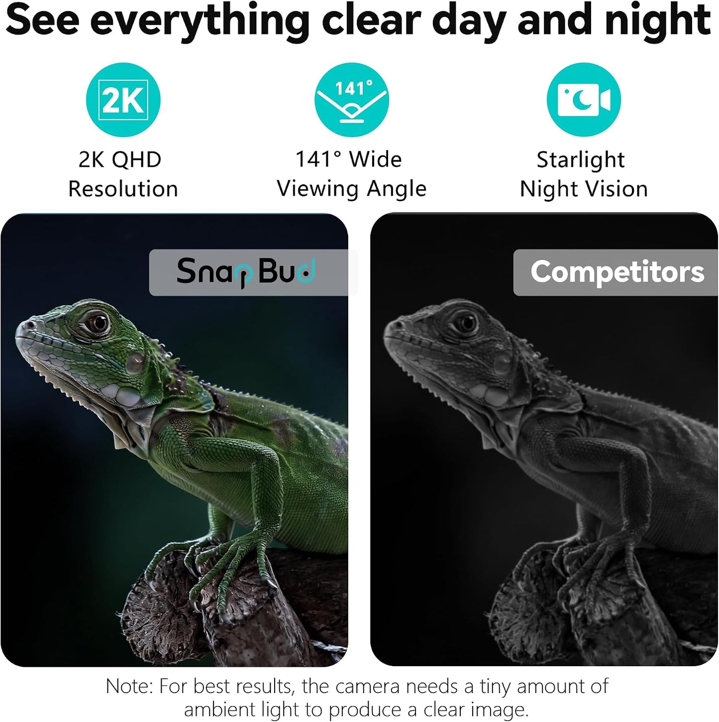 SnapBud 2K terrarium camera capturing clear macro details of a lizard inside a reptile habitat setup.
