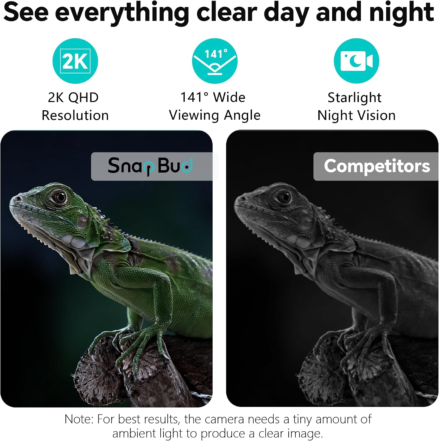 SnapBud 2K terrarium camera capturing clear macro details of a lizard inside a reptile habitat setup.