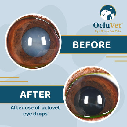 USA imported OcluVet sterile eye care drops packaging showing active ingredients