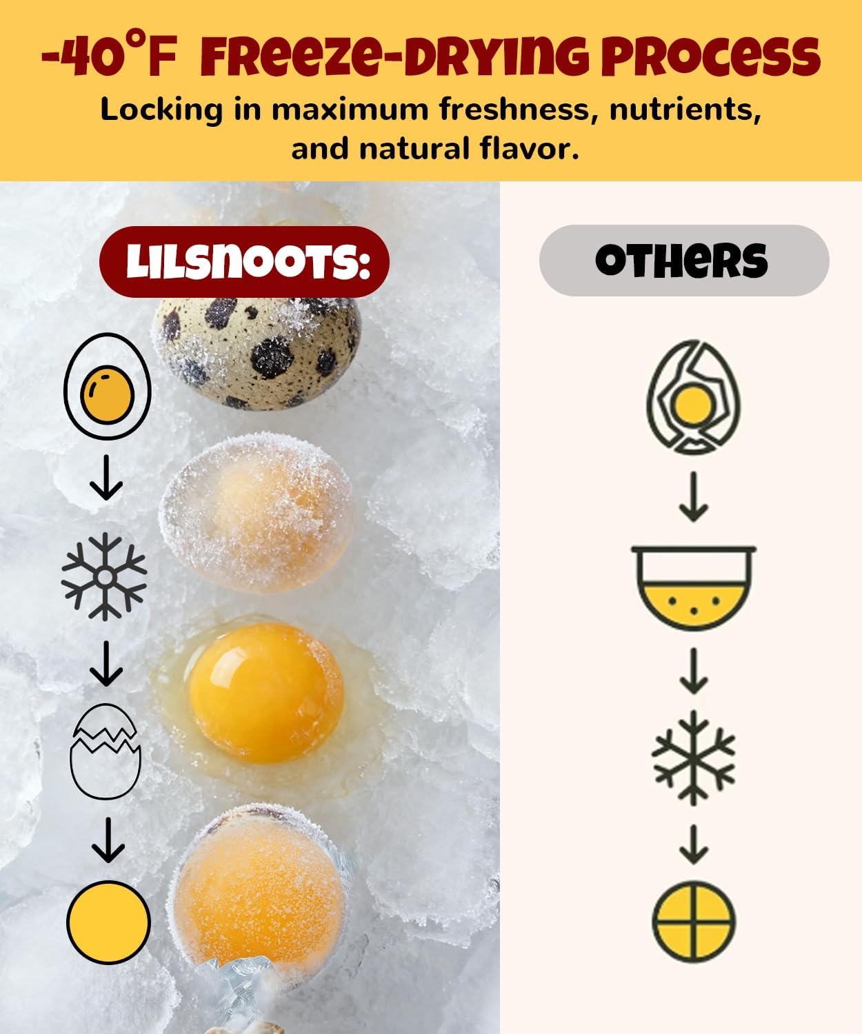 Premium freeze dried quail egg yolk round yellow pet treats