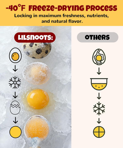 Premium freeze dried quail egg yolk round yellow pet treats