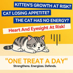 Premium USA imported cat taurine supplement jar standing upright on a clean surface